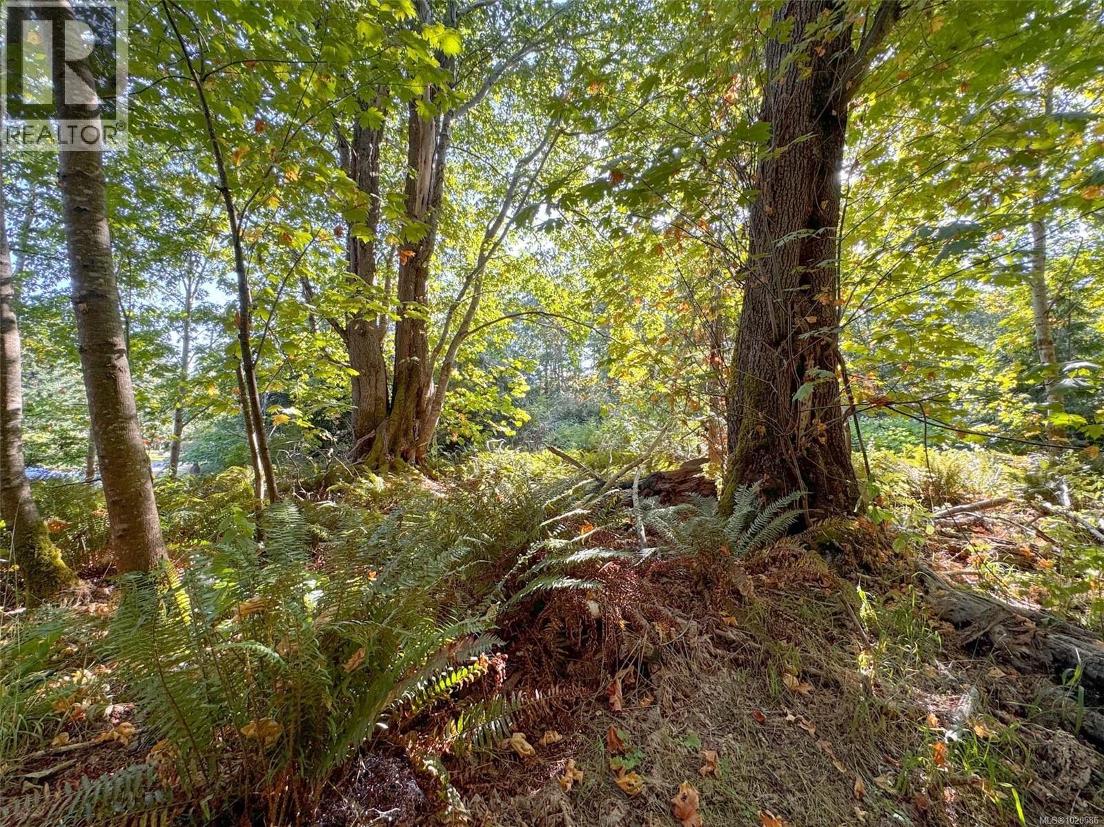 Lot 7 The Strand, Gabriola Island, British Columbia  V0R 1X0 - Photo 3 - 1020586