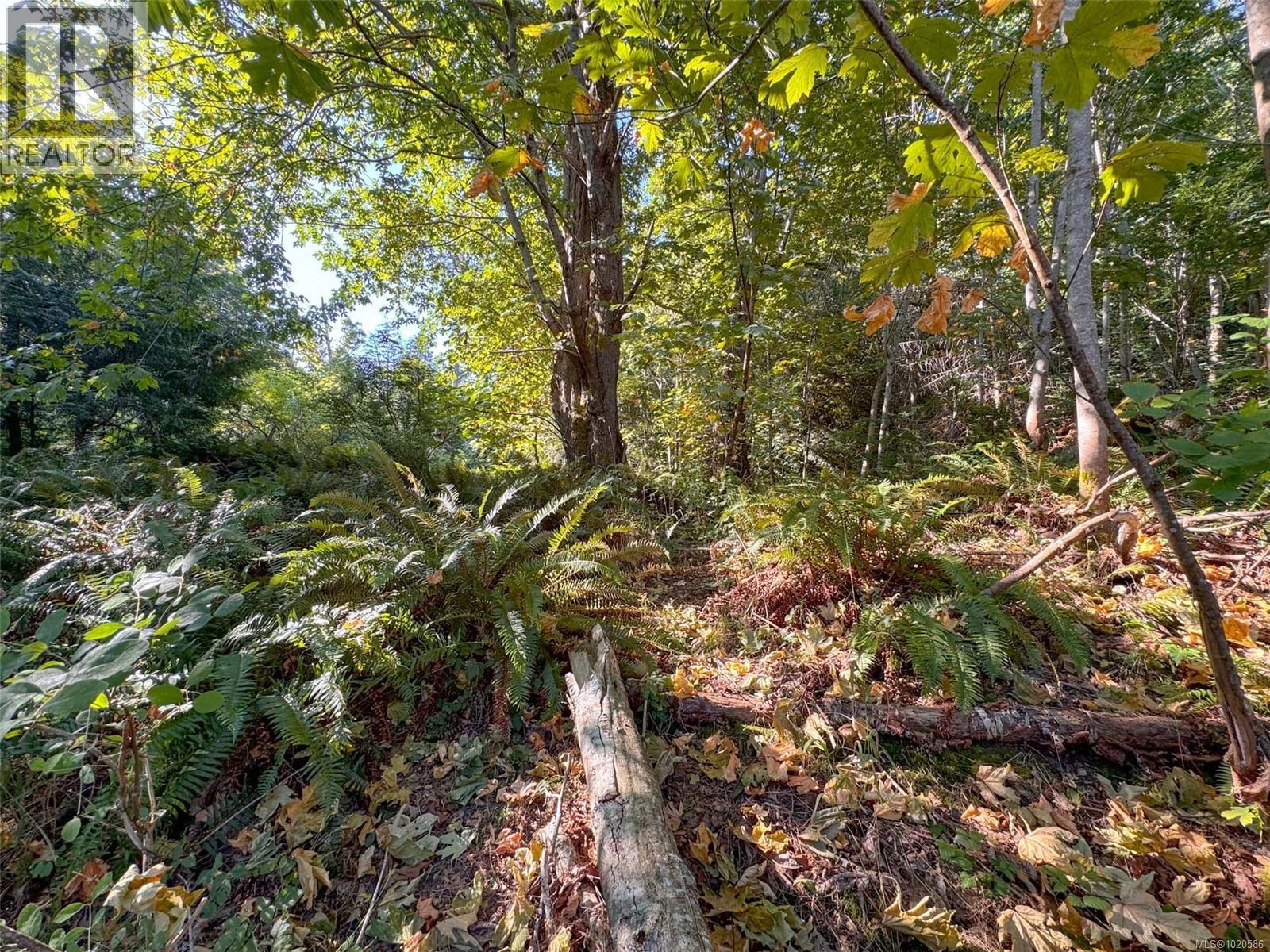 Lot 7 The Strand, Gabriola Island, British Columbia  V0R 1X0 - Photo 20 - 1020586