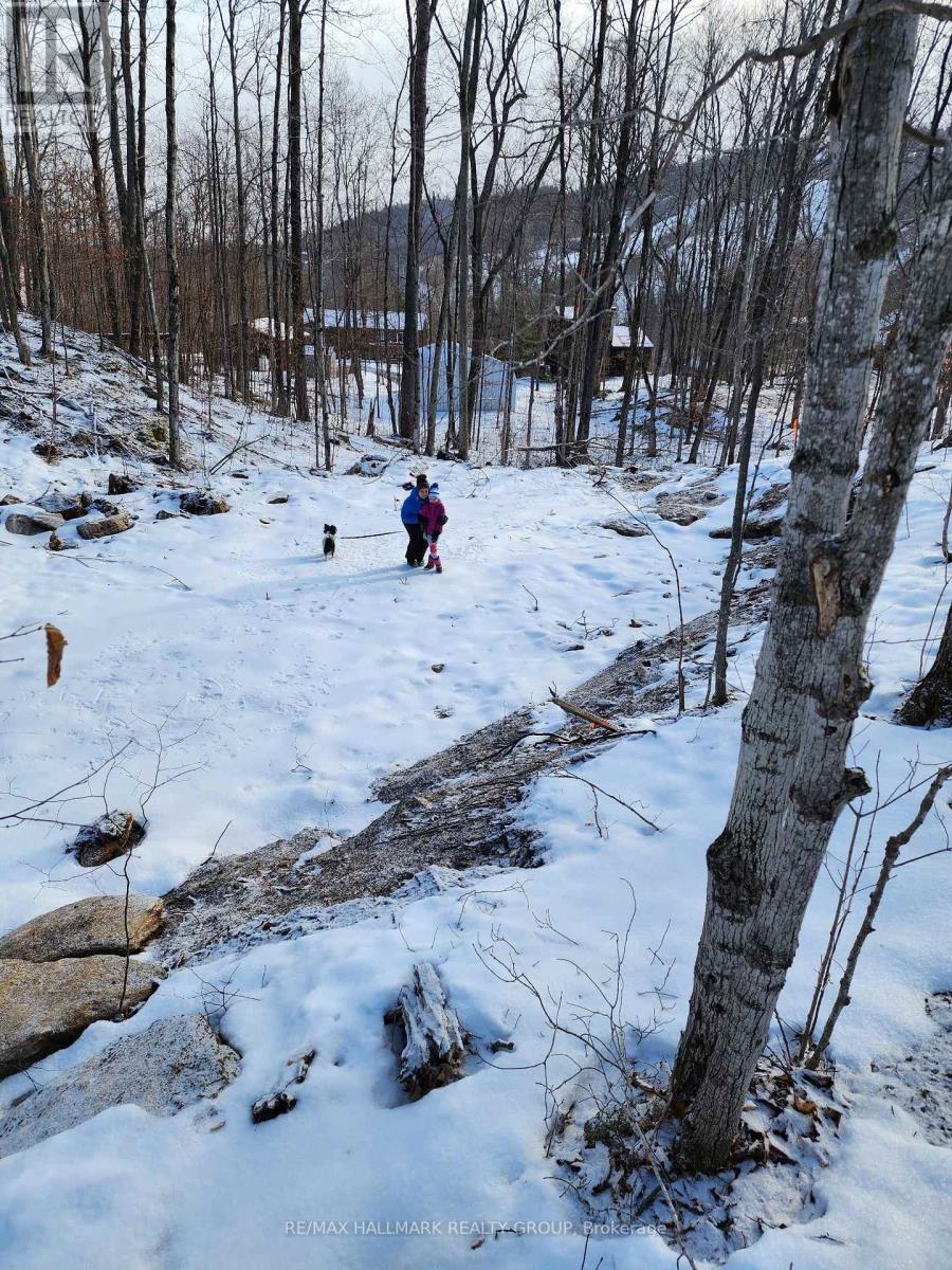 Lot #20 Crestview Drive, Greater Madawaska, Ontario  K0J 1H0 - Photo 11 - X13535918