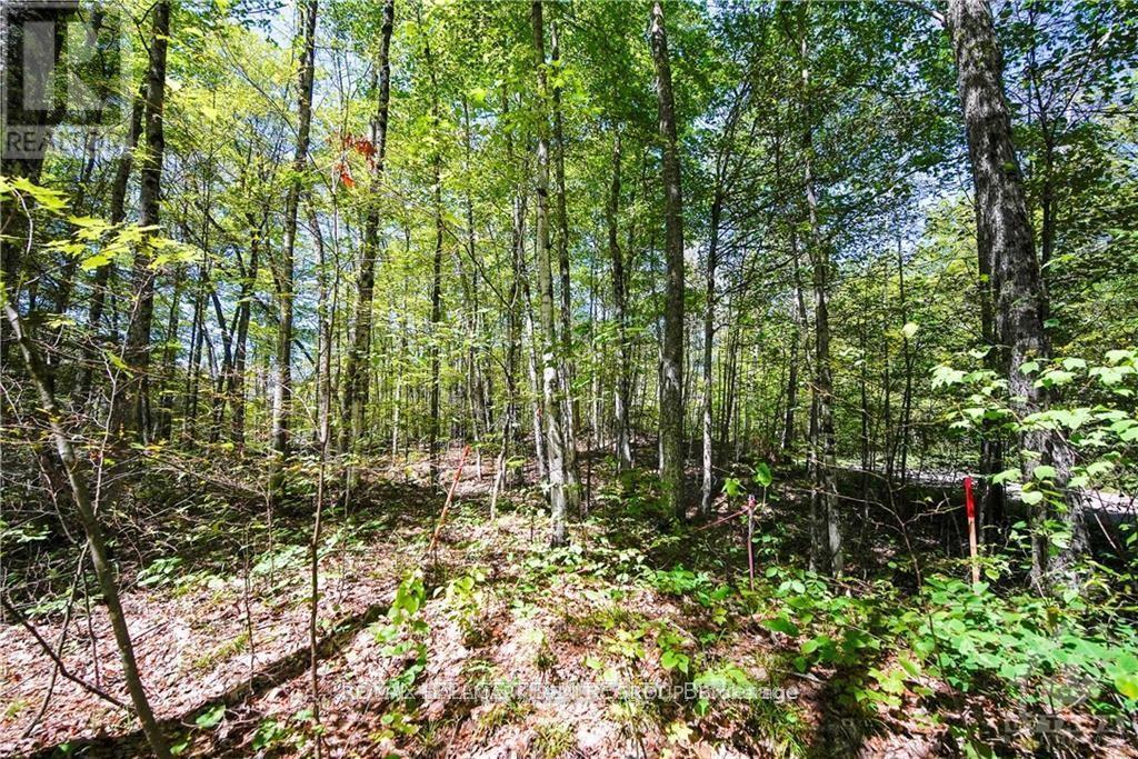 Lot #20 Crestview Drive, Greater Madawaska, Ontario  K0J 1H0 - Photo 4 - X13535918