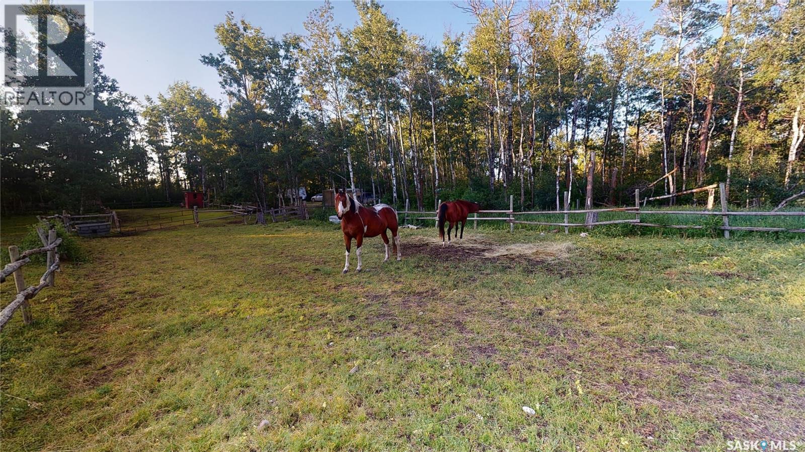 # Kenosee Drive, Moose Mountain Provincial Park, Saskatchewan  S0C 2S0 - Photo 17 - SK041688