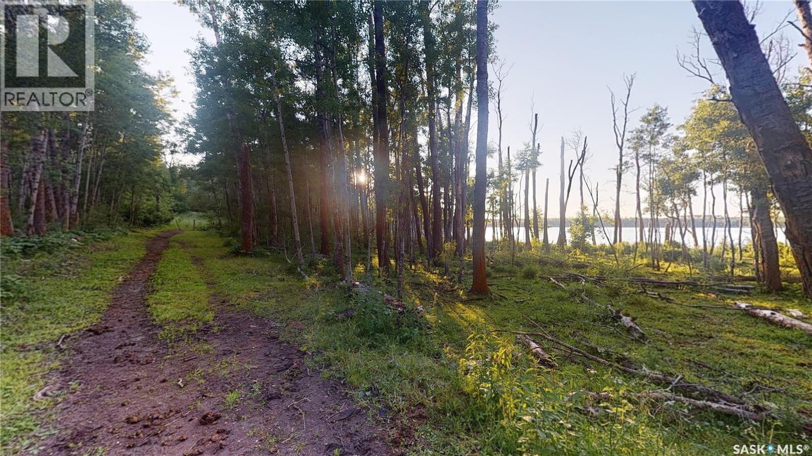 # Kenosee Drive, Moose Mountain Provincial Park, Saskatchewan  S0C 2S0 - Photo 24 - SK041688