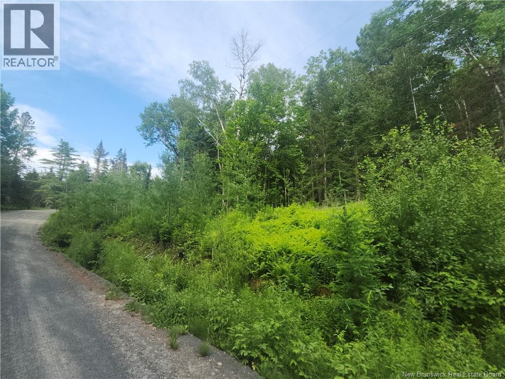 21-01 Sunset Drive, Bayside, New Brunswick E5B 2Y6 - Photo 7 - NB143551