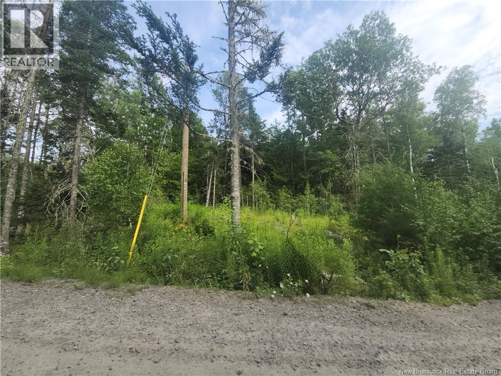 21-01 Sunset Drive, Bayside, New Brunswick E5B 2Y6 - Photo 6 - NB143551