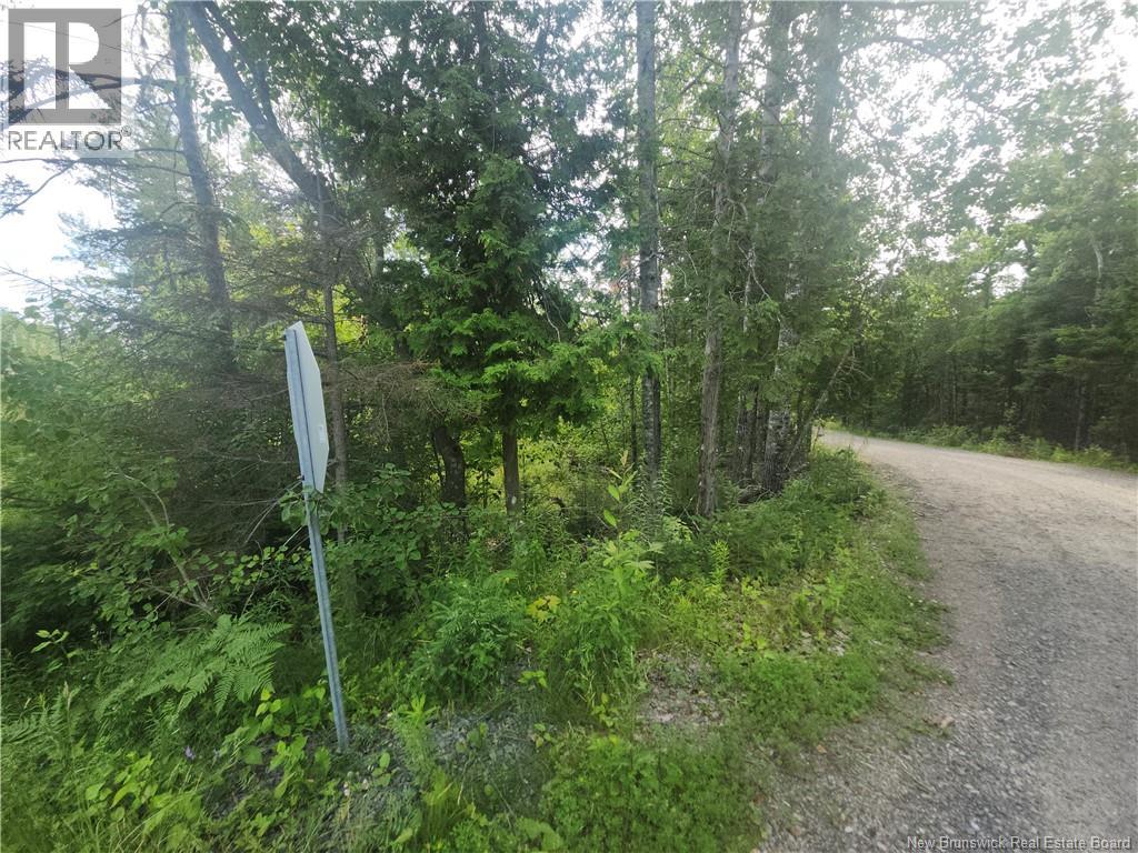 21-01 Sunset Drive, Bayside, New Brunswick E5B 2Y6 - Photo 3 - NB143551