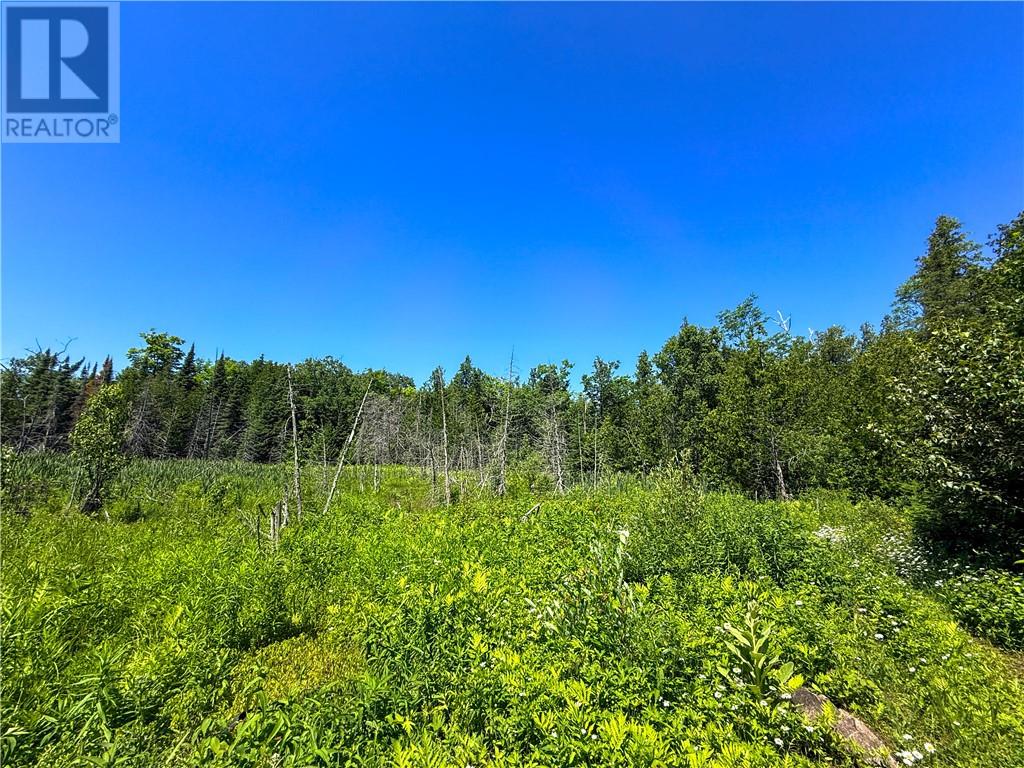 514c East Road, Manitoulin Island, Ontario  P0P 1S0 - Photo 11 - 2129063