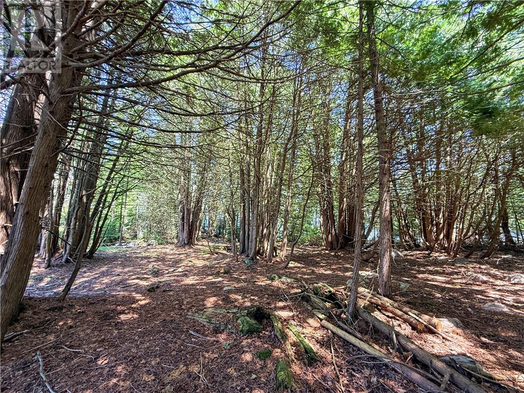 514c East Road, Manitoulin Island, Ontario  P0P 1S0 - Photo 15 - 2129063