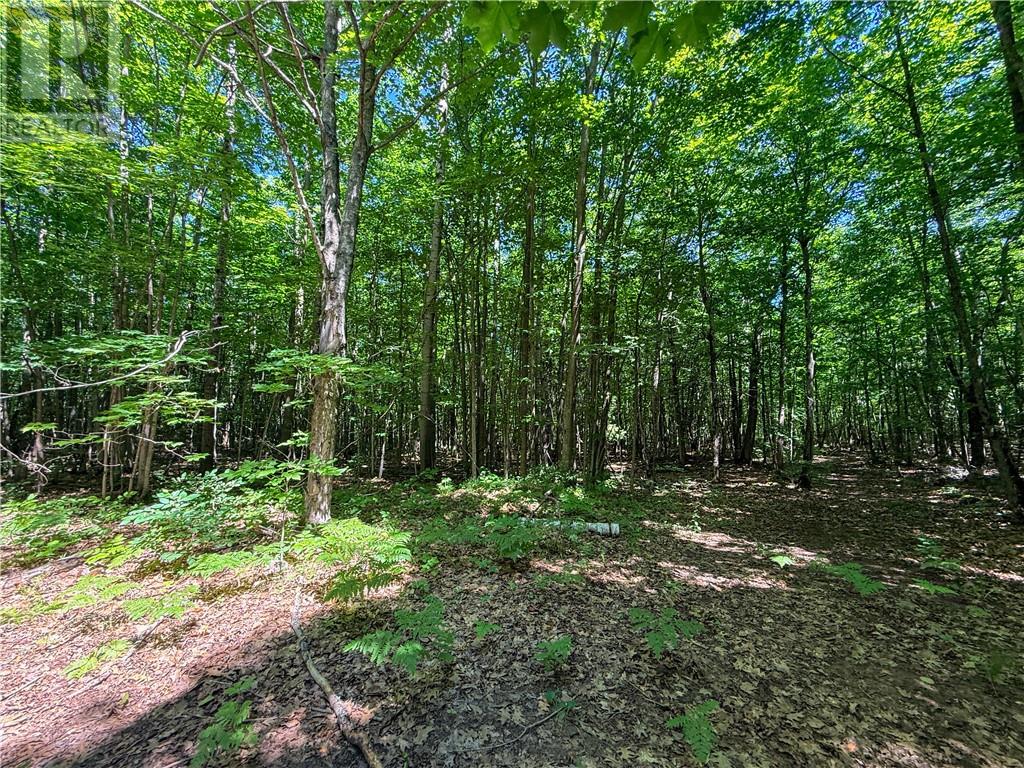 514c East Road, Manitoulin Island, Ontario  P0P 1S0 - Photo 29 - 2129063