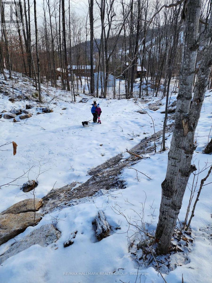 Lot #20 Crestview Drive, Greater Madawaska, Ontario  K0J 1H0 - Photo 11 - X13535918