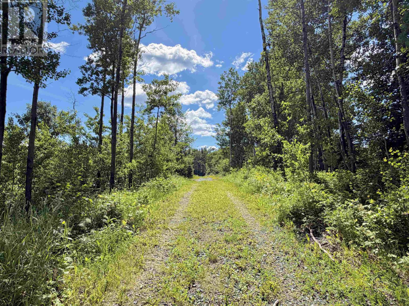 1319 Laurenson Lake, Kenora, Ontario  P9N 4G9 - Photo 10 - TB2600263