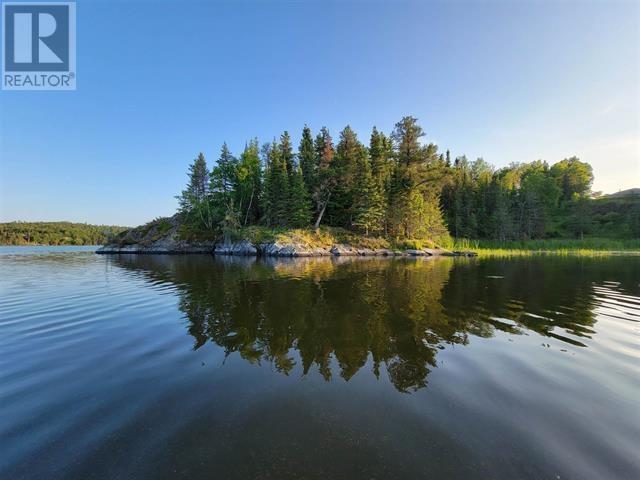 1319 Laurenson Lake, Kenora, Ontario  P9N 4G9 - Photo 25 - TB2600263
