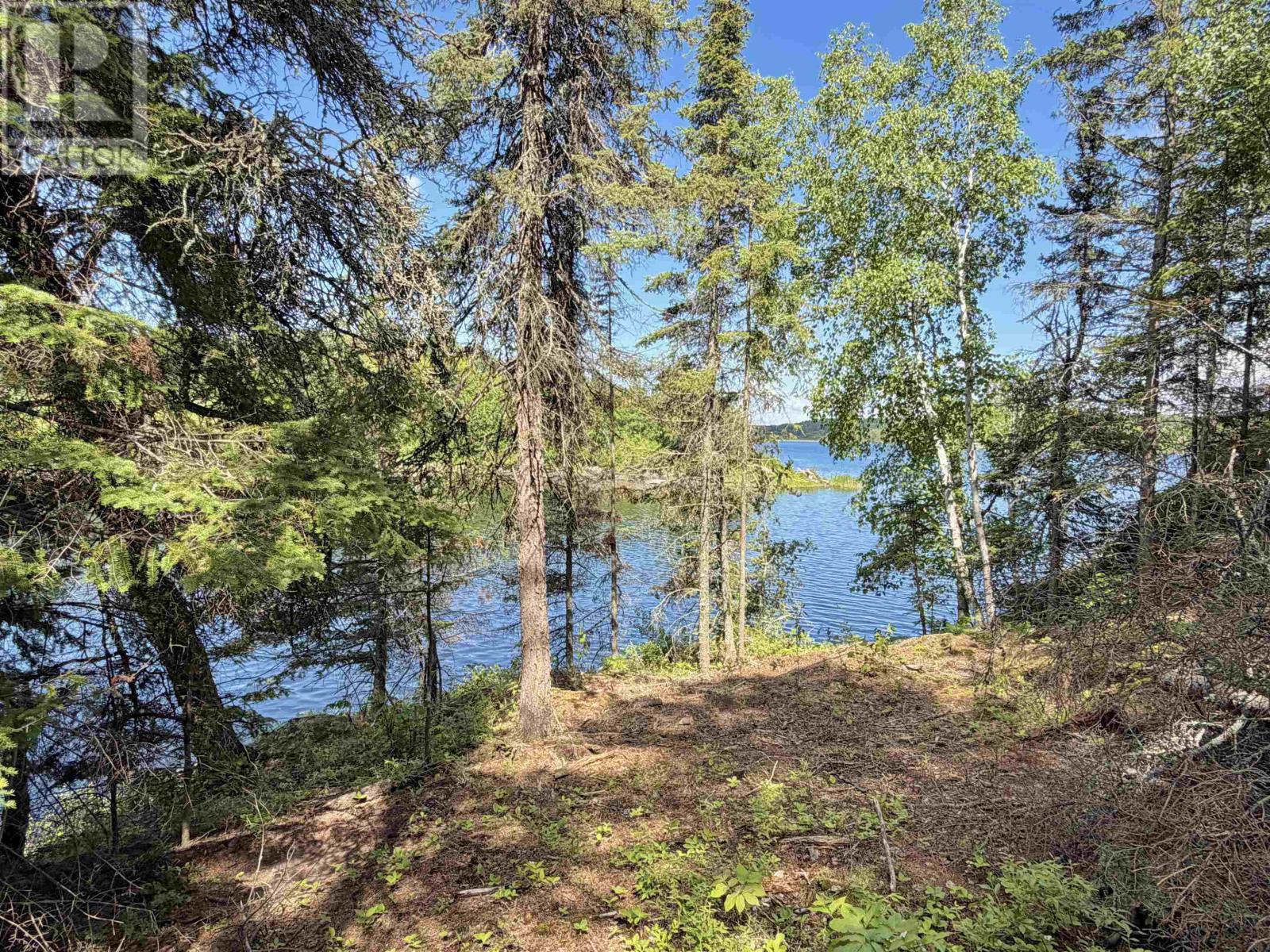 1319 Laurenson Lake, Kenora, Ontario  P9N 4G9 - Photo 6 - TB2600263
