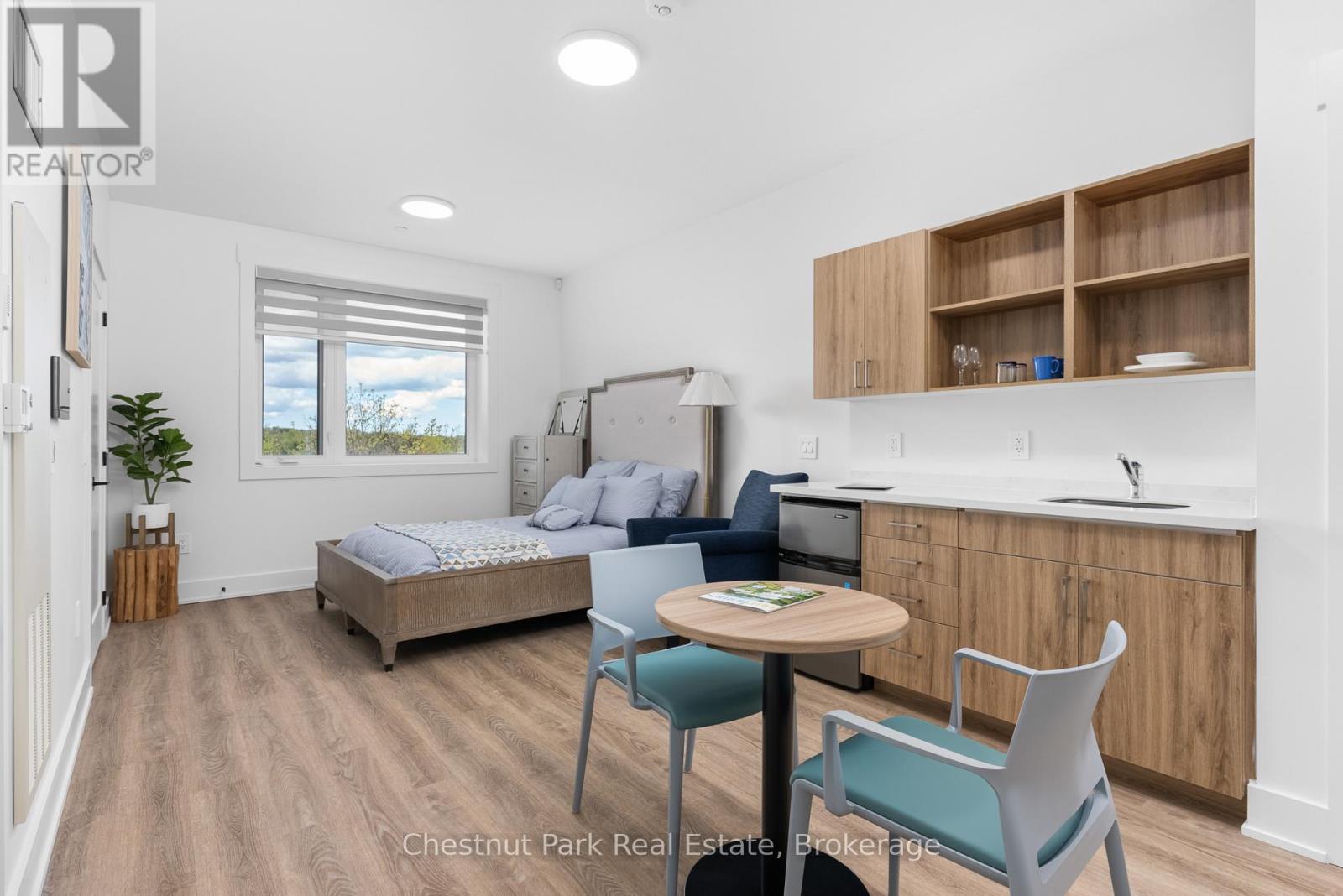(Studio Suite) - 520 Isaac Street, Gravenhurst, Ontario  P1P 1G1 - Photo 3 - X13536420