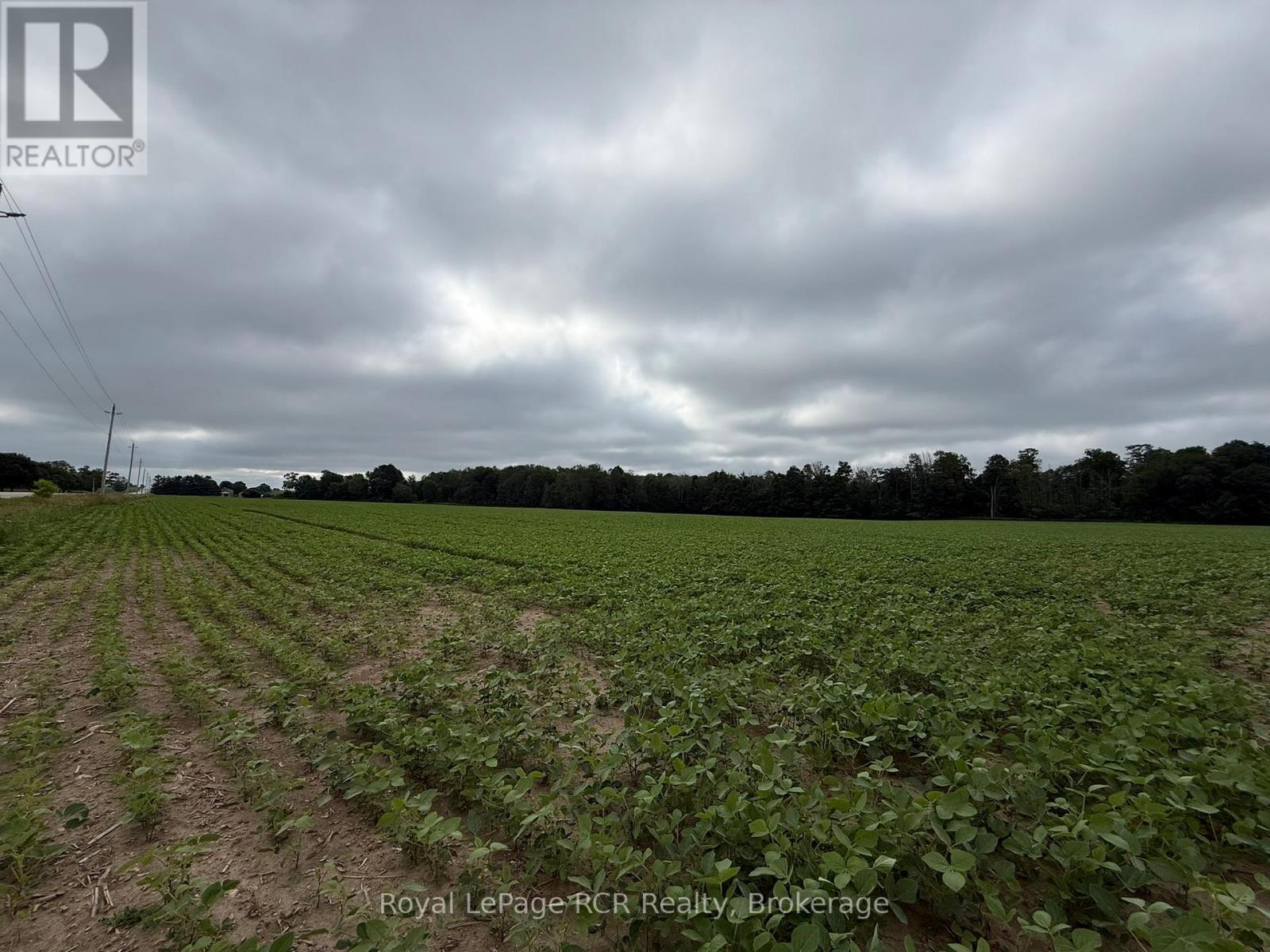 Pt Lt 3 Howick-Turnberry Road, Morris Turnberry, Ontario  N0G 2W0 - Photo 6 - X13536514