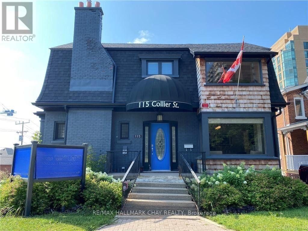 LOWER LEVEL - 115 COLLIER STREET, Barrie (City Centre)