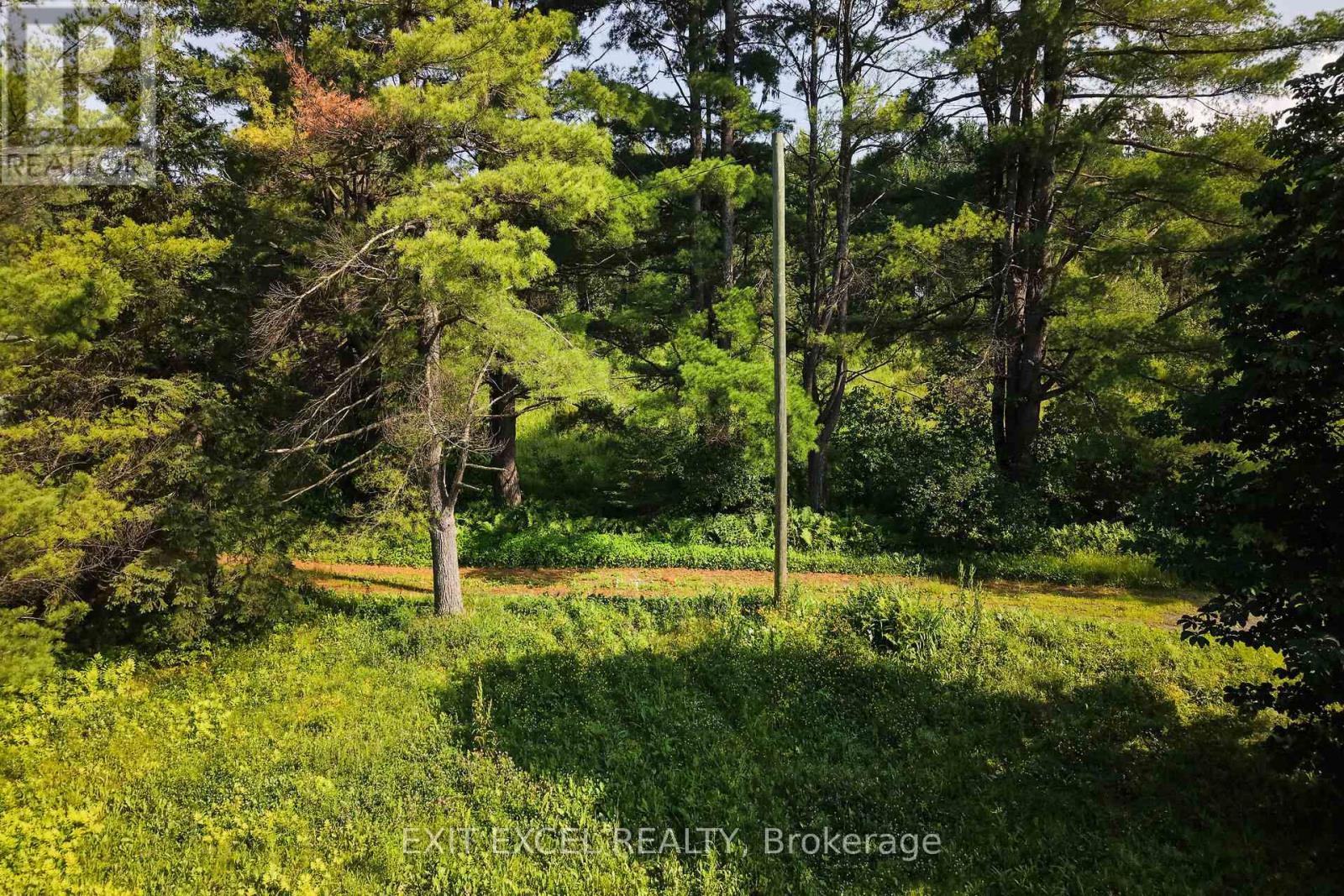 4822 Champlain Street, Clarence-Rockland, Ontario K0A 1E0 - Photo 7 - X13536856