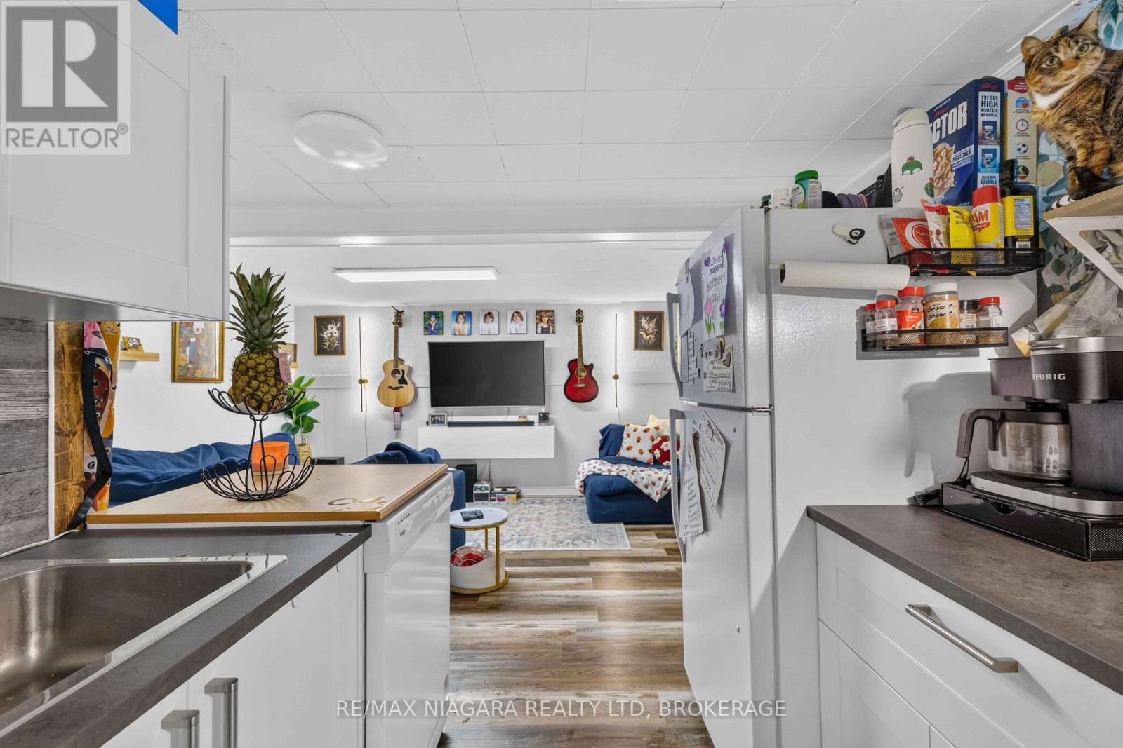 Basement - 12 Wallace Street, St. Catharines, Ontario  L2S 1E9 - Photo 13 - X13536720