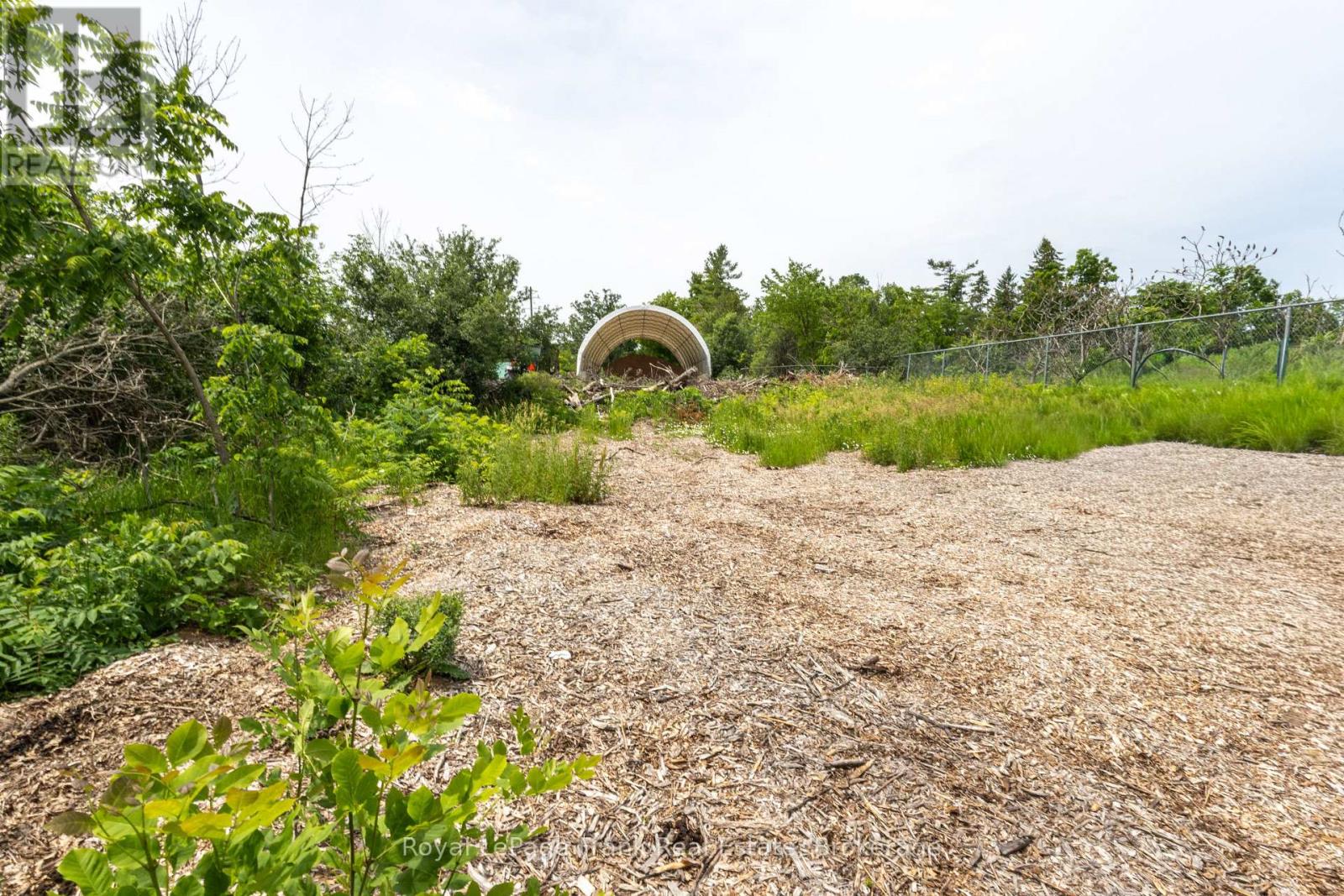 66 Jane Street, Kawartha Lakes, Ontario  K0M 1A0 - Photo 10 - X13537690