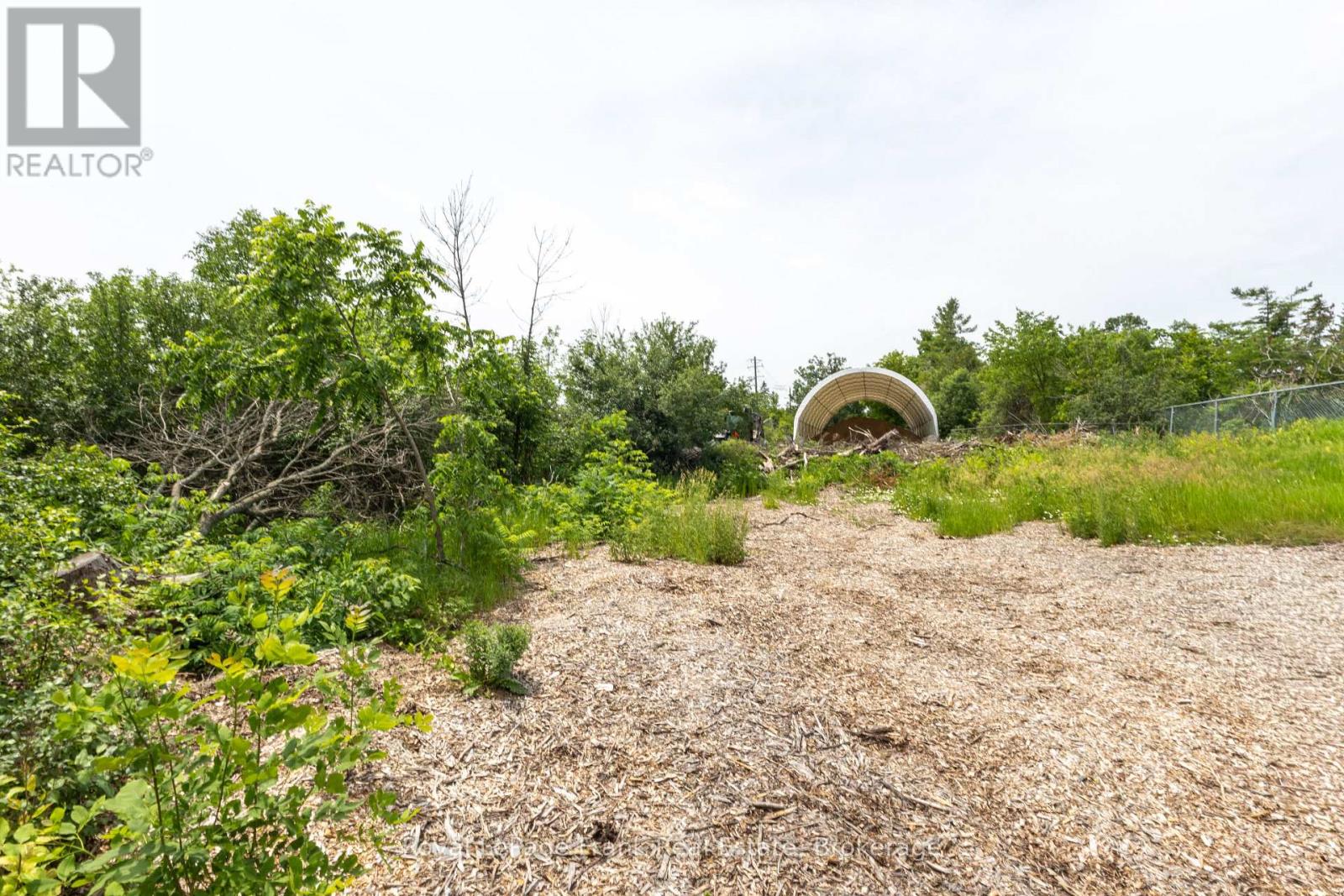 66 Jane Street, Kawartha Lakes, Ontario  K0M 1A0 - Photo 11 - X13537690