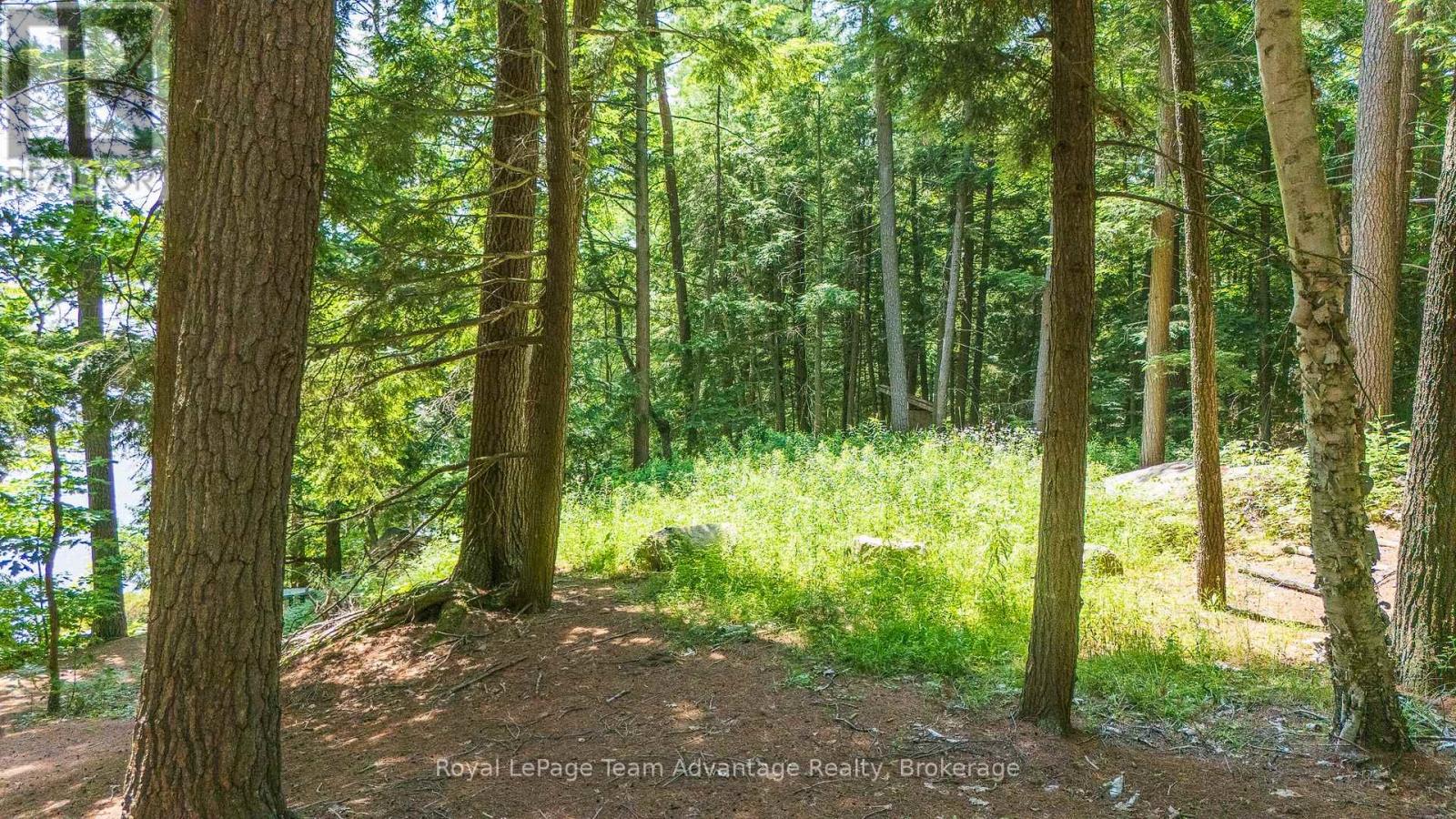 81 Amorak Trail, Whitestone, Ontario  P0A 1G0 - Photo 11 - X13163936