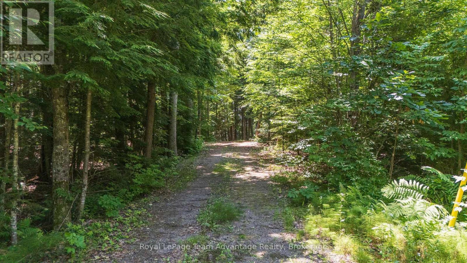 81 Amorak Trail, Whitestone, Ontario  P0A 1G0 - Photo 7 - X13163936