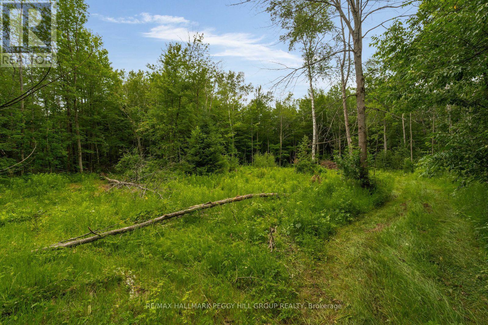 3664 Hogback Road, Clearview, Ontario  L0M 1N0 - Photo 10 - S13537740