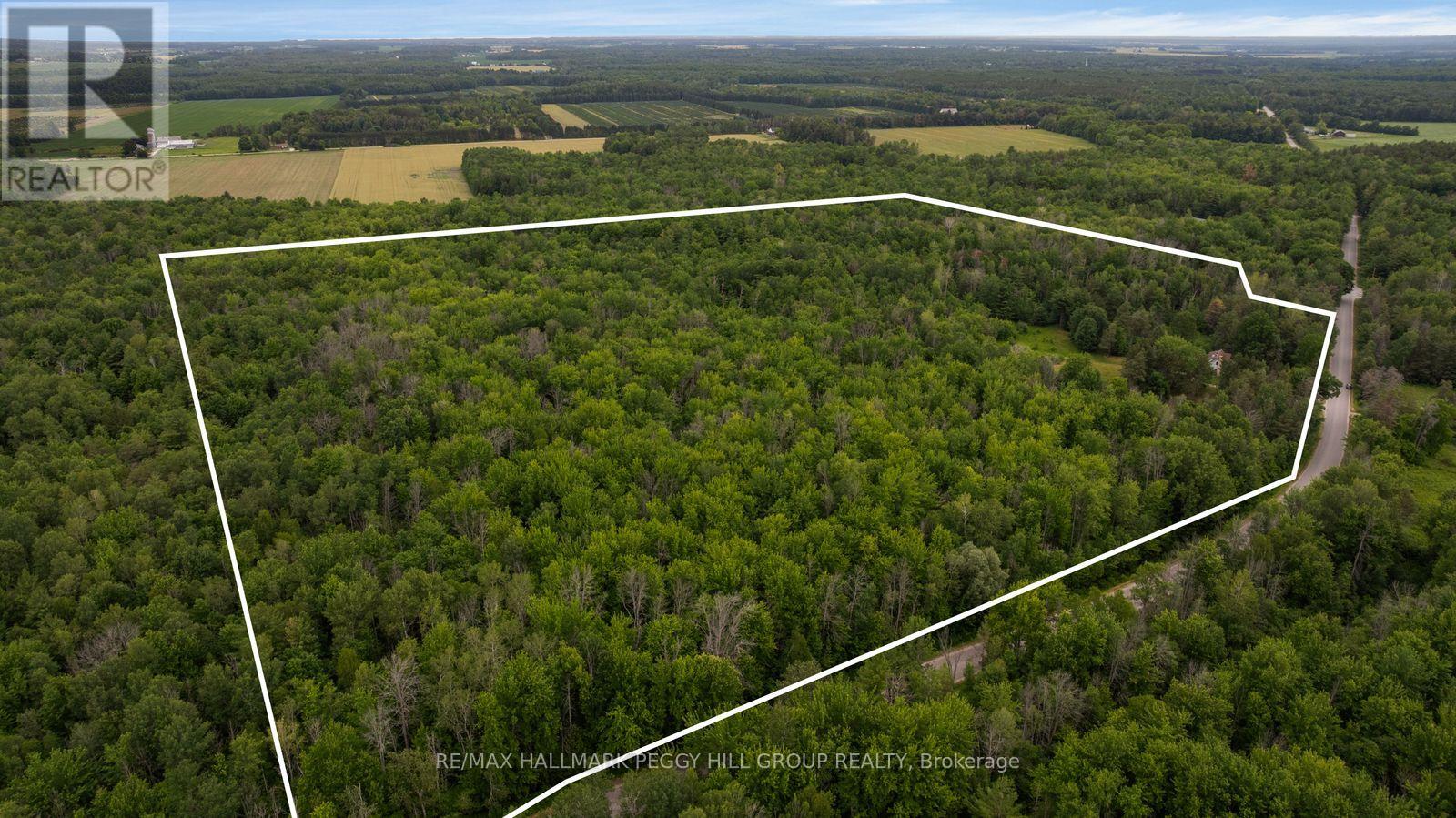 3664 Hogback Road, Clearview, Ontario  L0M 1N0 - Photo 2 - S13537740