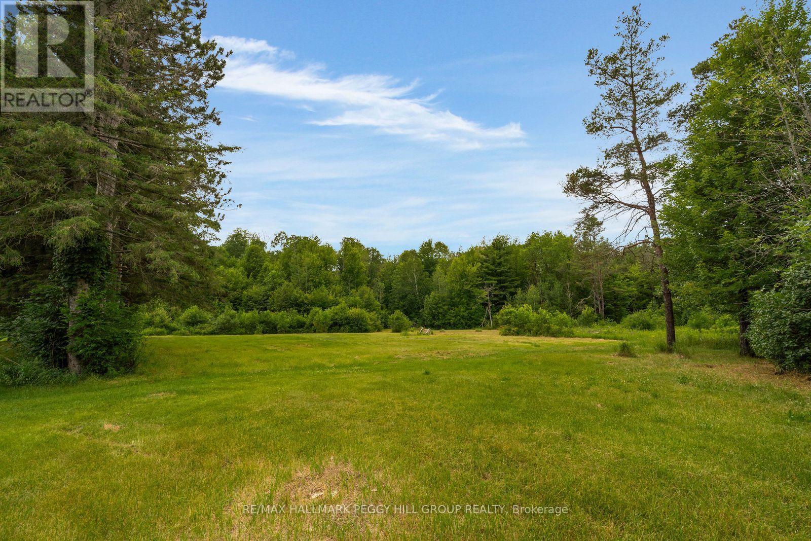 3664 Hogback Road, Clearview, Ontario  L0M 1N0 - Photo 5 - S13537740