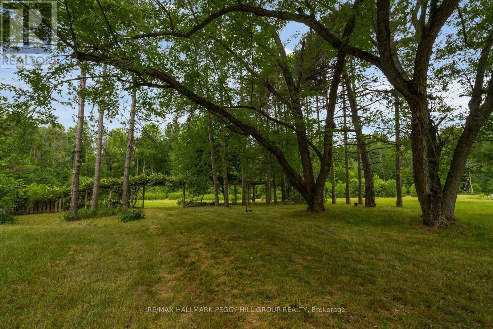 3664 Hogback Road, Clearview, Ontario  L0M 1N0 - Photo 6 - S13537740
