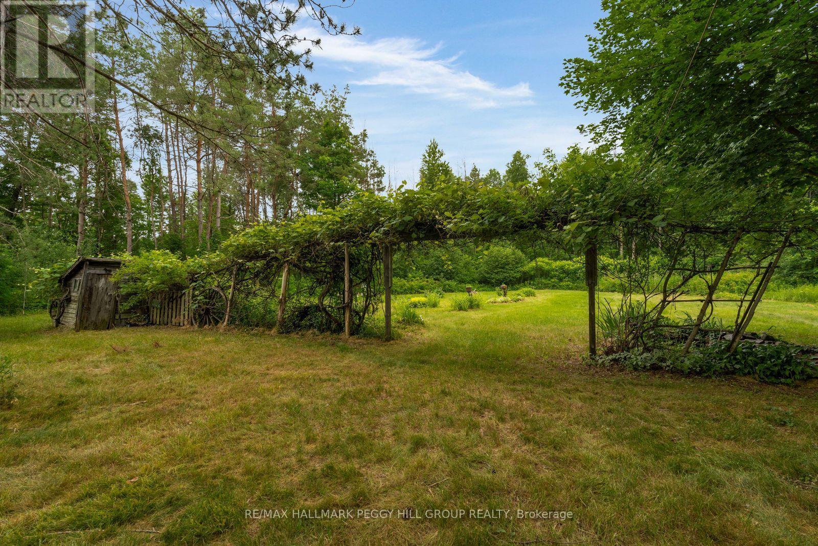 3664 Hogback Road, Clearview, Ontario  L0M 1N0 - Photo 7 - S13537740