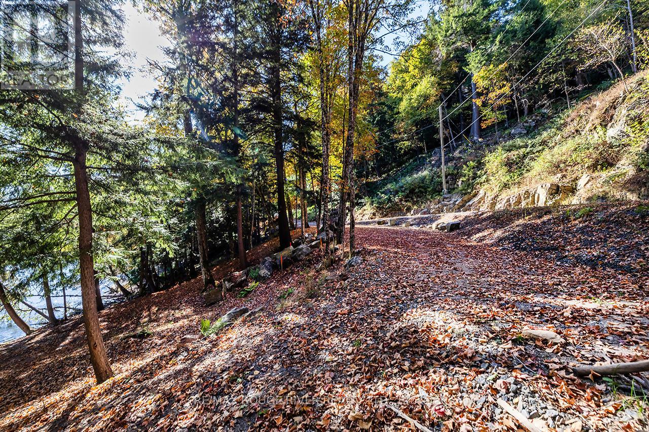 0 Thompson Portage Road, Lake Of Bays, Ontario P0A 1H0 - Photo 13 - X13537826