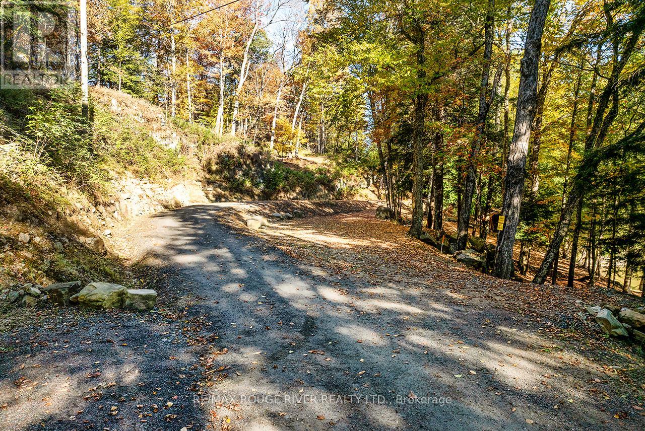 0 Thompson Portage Road, Lake Of Bays, Ontario P0A 1H0 - Photo 6 - X13537826