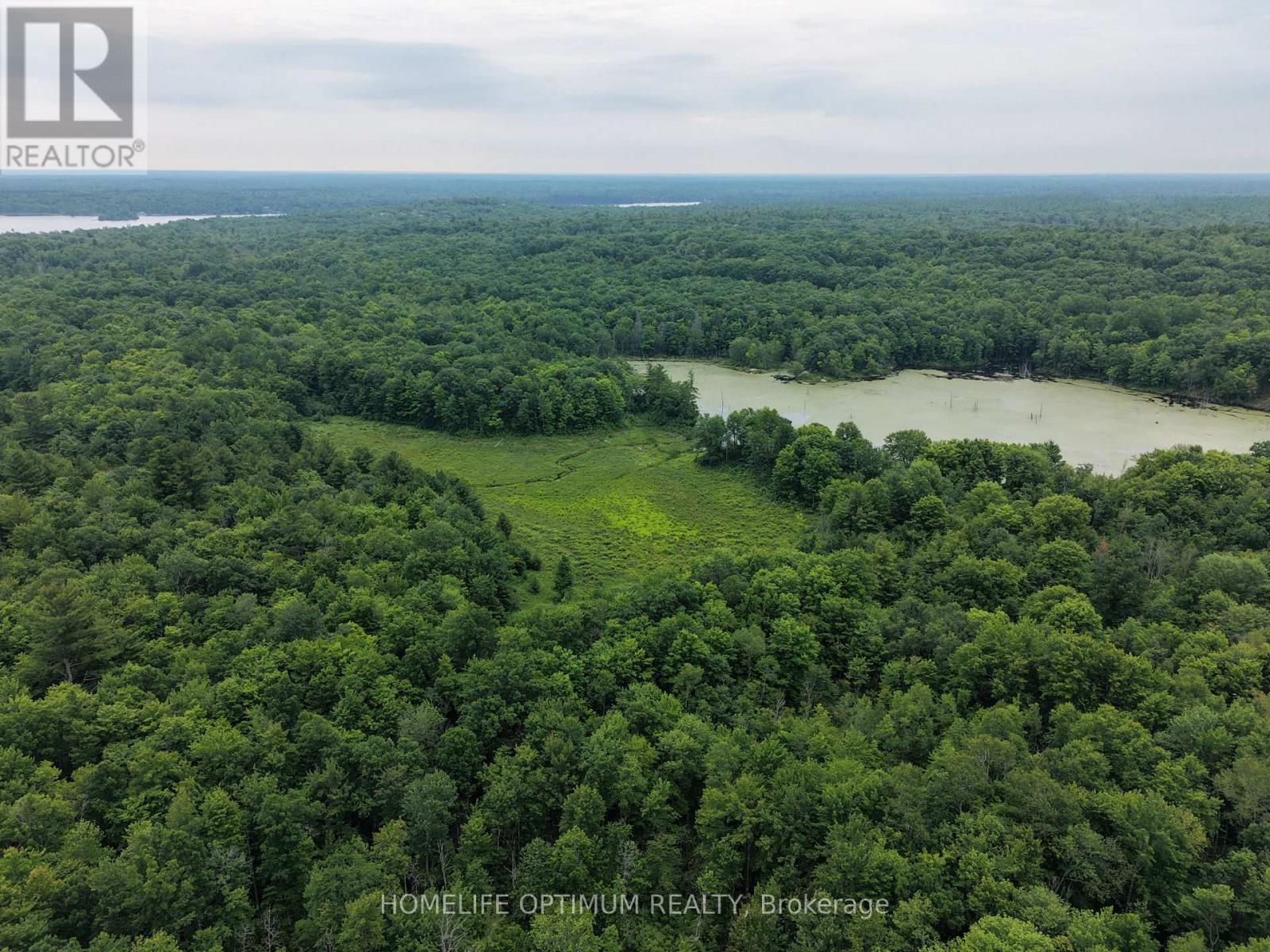 Pt Lt 20 Con 13 Hinchinbrooke, Frontenac, Ontario  K0H 2K0 - Photo 3 - X13537932
