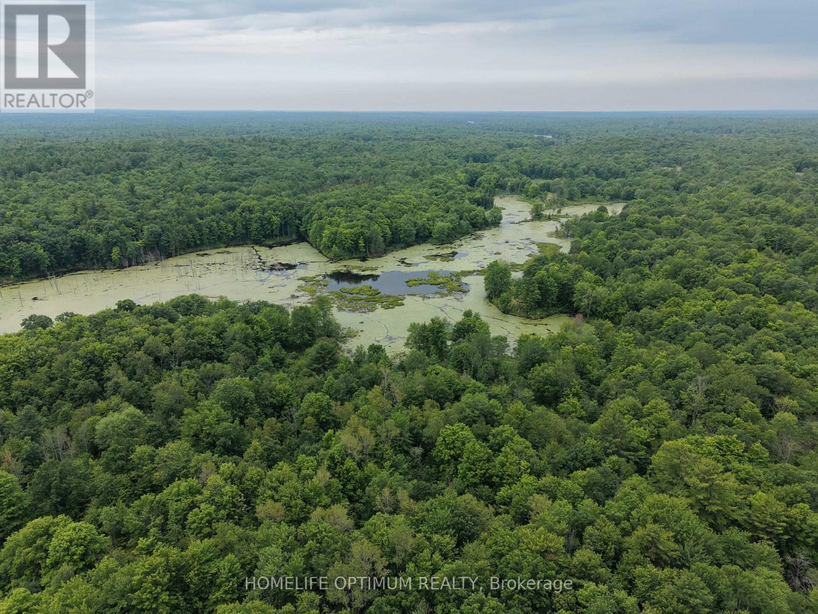 Pt Lt 20 Con 13 Hinchinbrooke, Frontenac, Ontario  K0H 2K0 - Photo 4 - X13537932