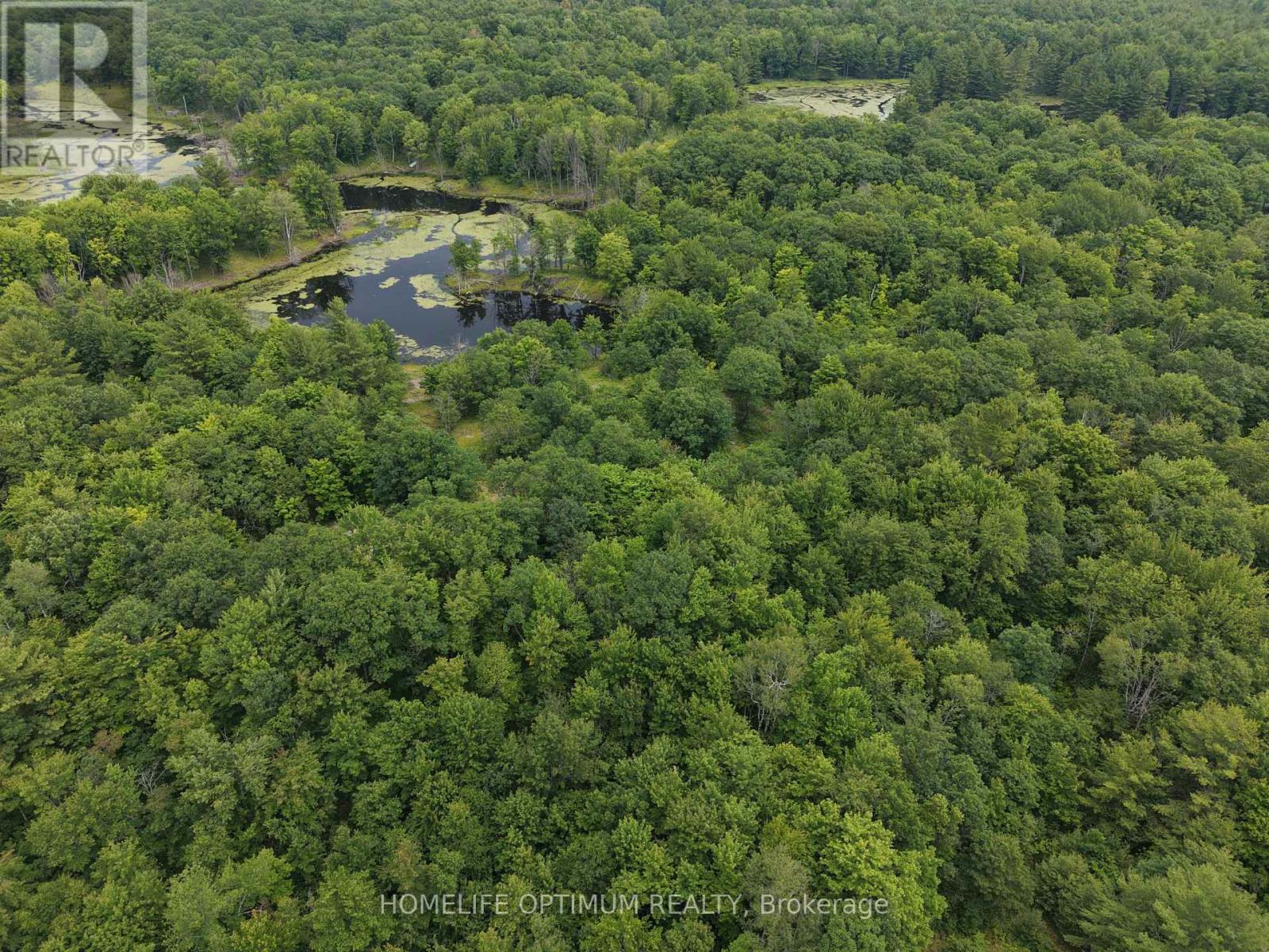Pt Lt 20 Con 13 Hinchinbrooke, Frontenac, Ontario  K0H 2K0 - Photo 6 - X13537932