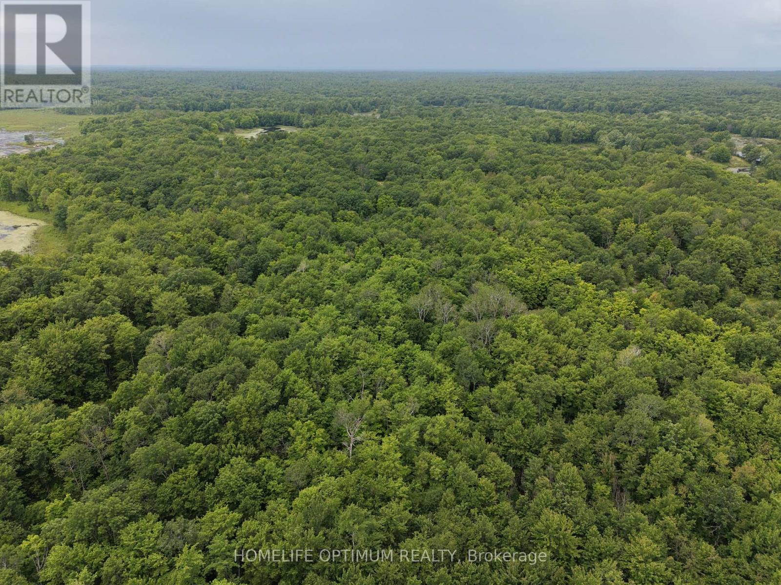 Pt Lt 20 Con 13 Hinchinbrooke, Frontenac, Ontario  K0H 2K0 - Photo 7 - X13537932