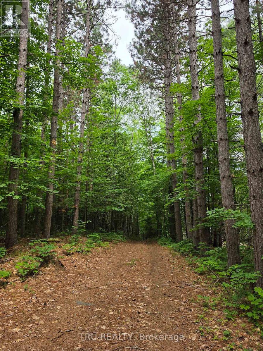 952 Siberia Road, Madawaska Valley, Ontario  K0J 1B0 - Photo 37 - X13139360