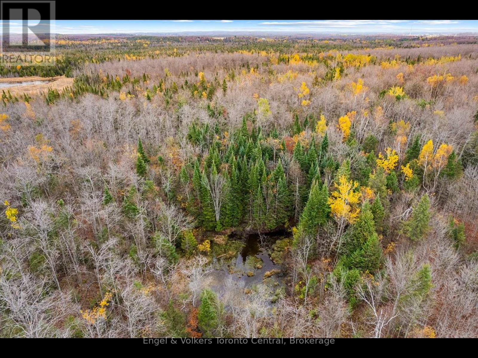 429560 8th B Concession, Grey Highlands, Ontario  N0C 1M0 - Photo 10 - X13538548