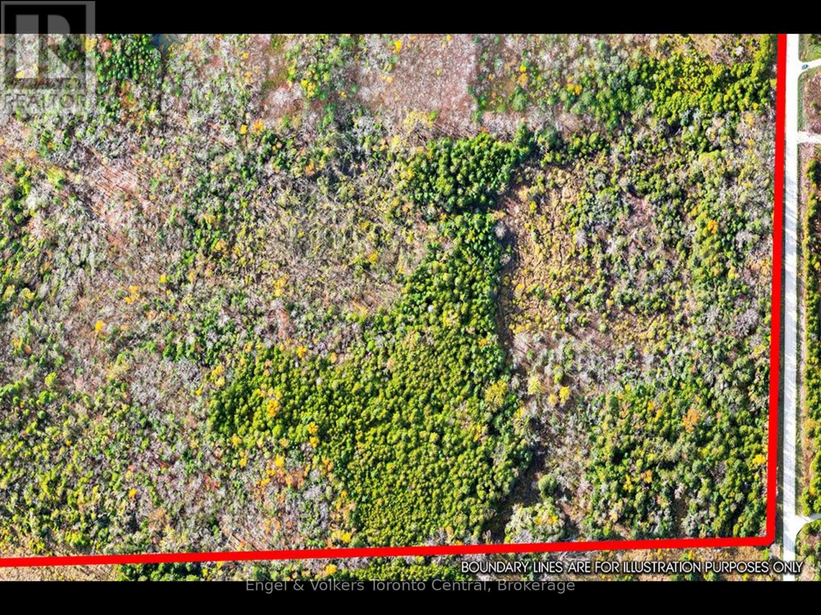429560 8th B Concession, Grey Highlands, Ontario  N0C 1M0 - Photo 11 - X13538548