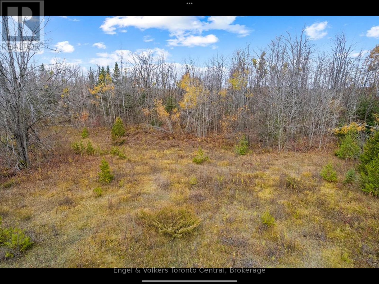 429560 8th B Concession, Grey Highlands, Ontario  N0C 1M0 - Photo 4 - X13538548