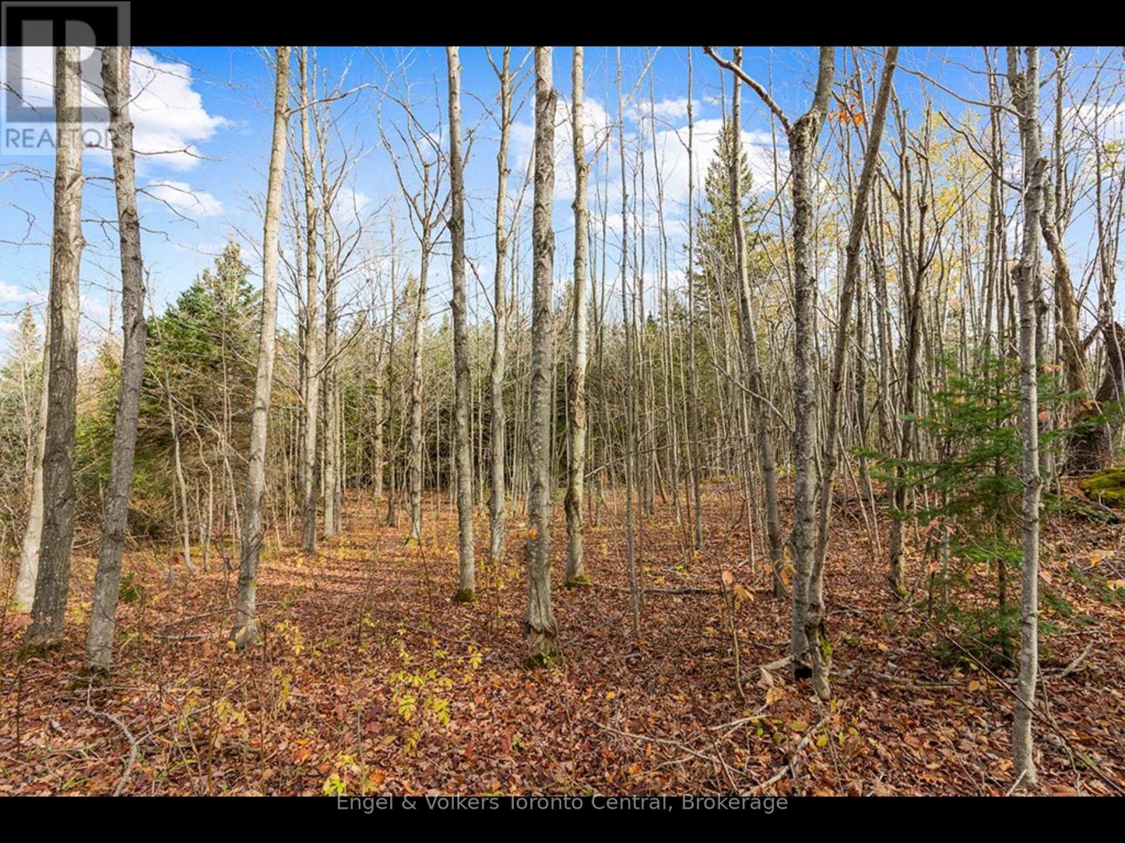 429560 8th B Concession, Grey Highlands, Ontario  N0C 1M0 - Photo 6 - X13538548