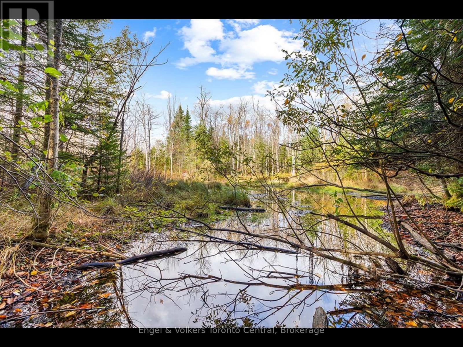 429560 8th B Concession, Grey Highlands, Ontario  N0C 1M0 - Photo 7 - X13538548