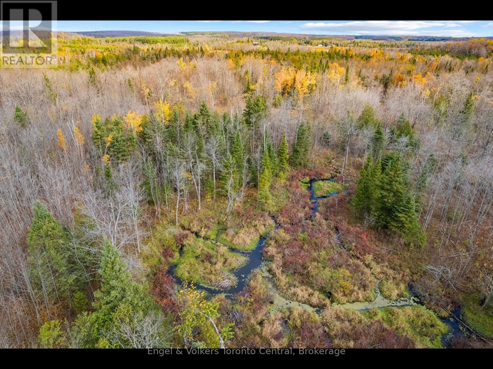 429560 8th B Concession, Grey Highlands, Ontario  N0C 1M0 - Photo 8 - X13538548