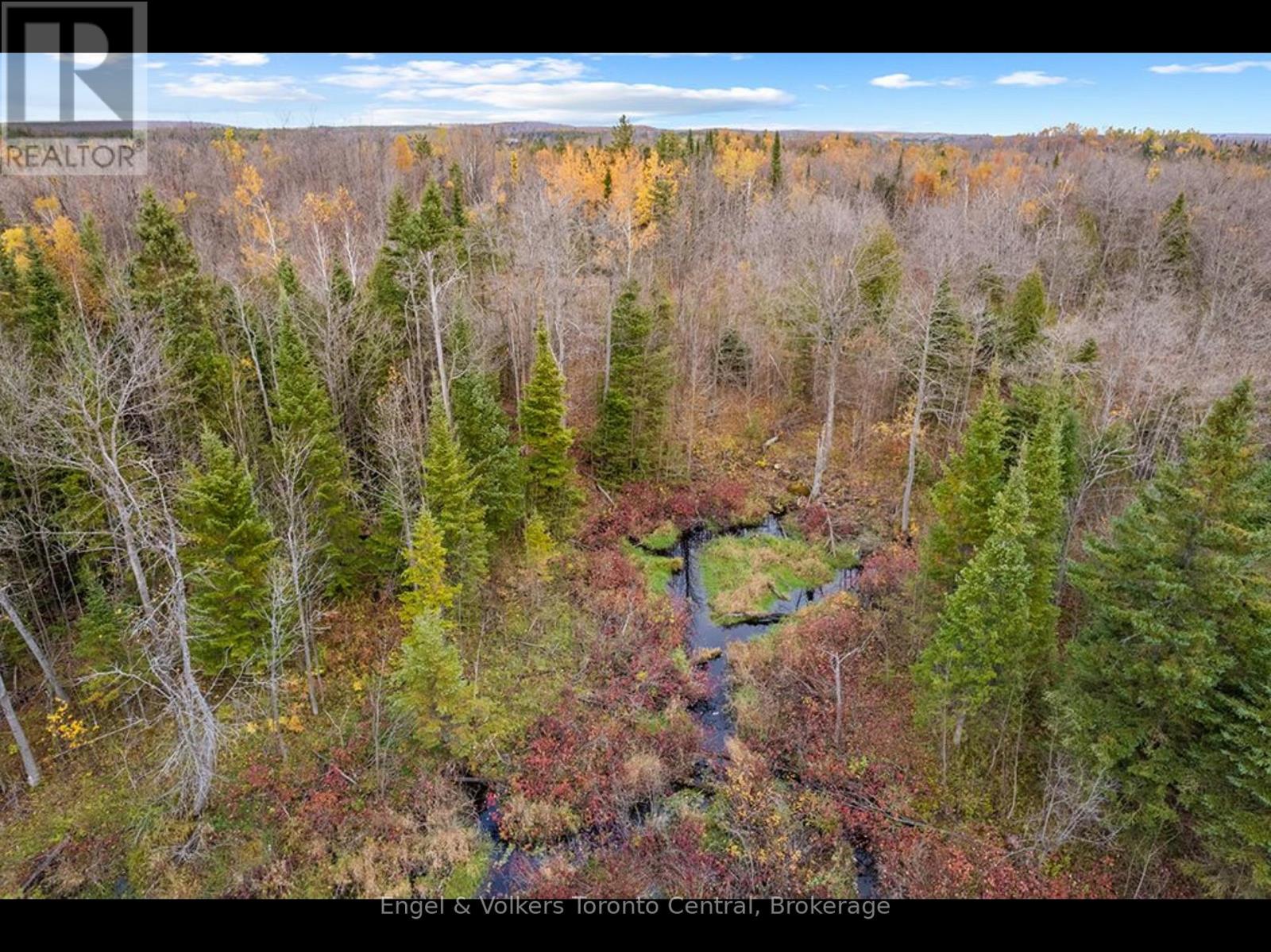 429560 8th B Concession, Grey Highlands, Ontario  N0C 1M0 - Photo 9 - X13538548