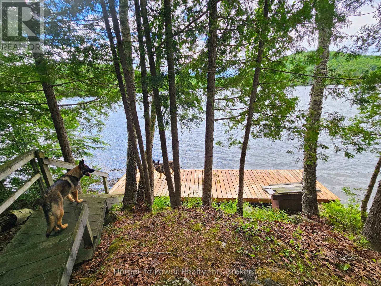 1021 Chalmers Lane, Frontenac, Ontario  K0H 2J0 - Photo 20 - X13538662