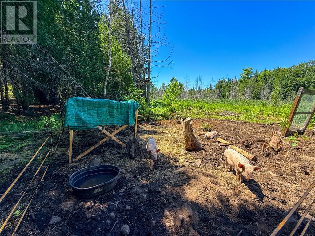 514c East Road, Mindemoya, Ontario  P0P 1S0 - Photo 13 - 2129063