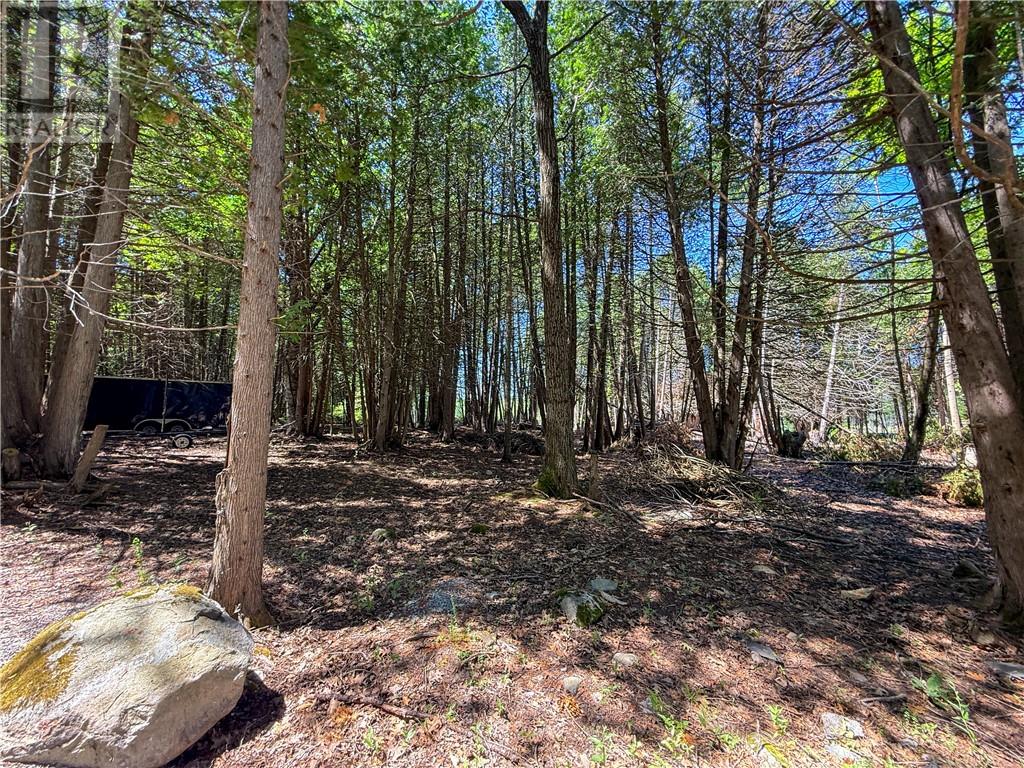 514c East Road, Mindemoya, Ontario  P0P 1S0 - Photo 17 - 2129063