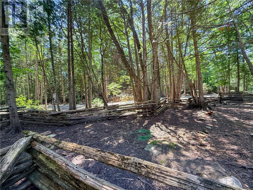 514c East Road, Mindemoya, Ontario  P0P 1S0 - Photo 19 - 2129063