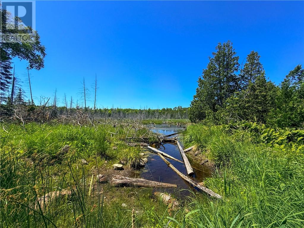 514c East Road, Mindemoya, Ontario  P0P 1S0 - Photo 26 - 2129063
