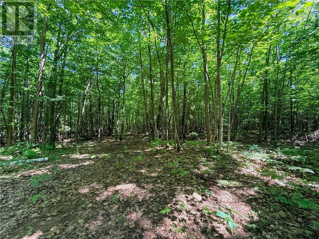 514c East Road, Mindemoya, Ontario  P0P 1S0 - Photo 28 - 2129063